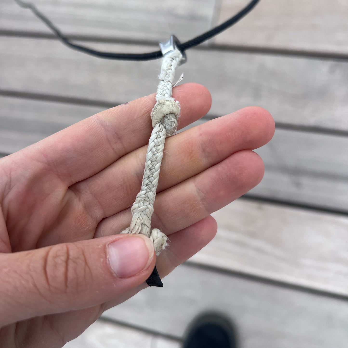 Core NEXUS 8m Kite Only w/Bag | USED / GRADE C