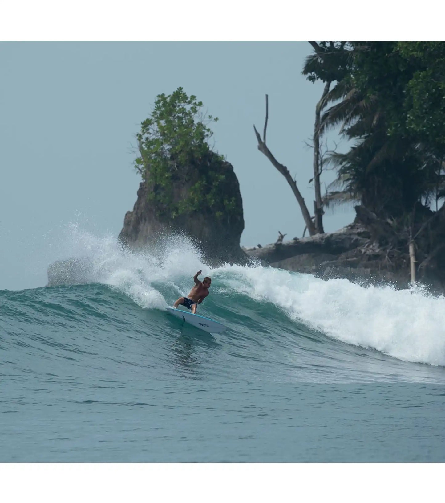 Timmy Patterson Blue Fin - Fusion HD - Futures - 5 Fin