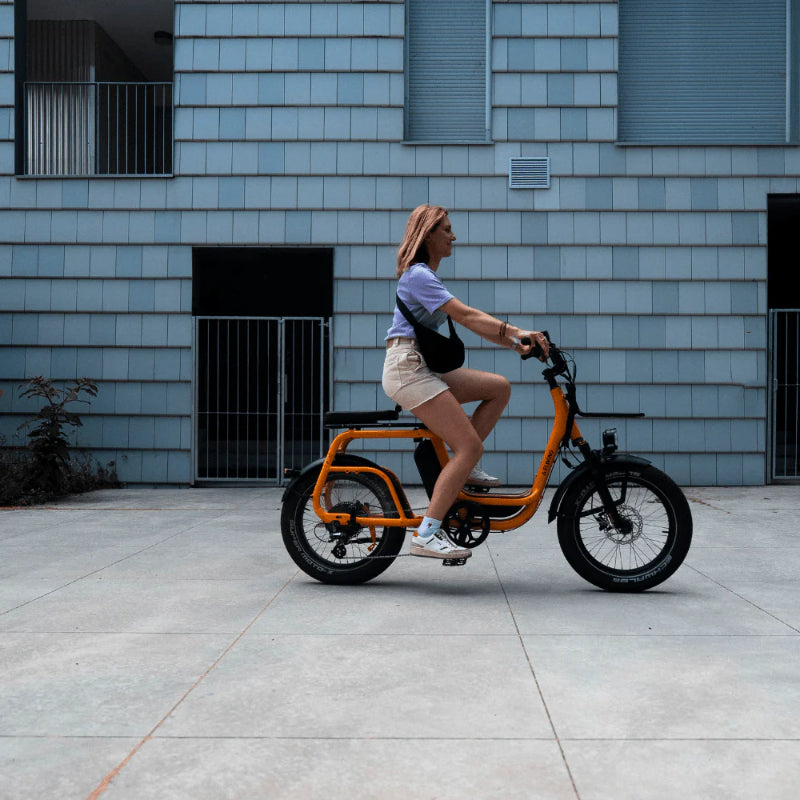 Elwing RITMIC Passenger Cushion