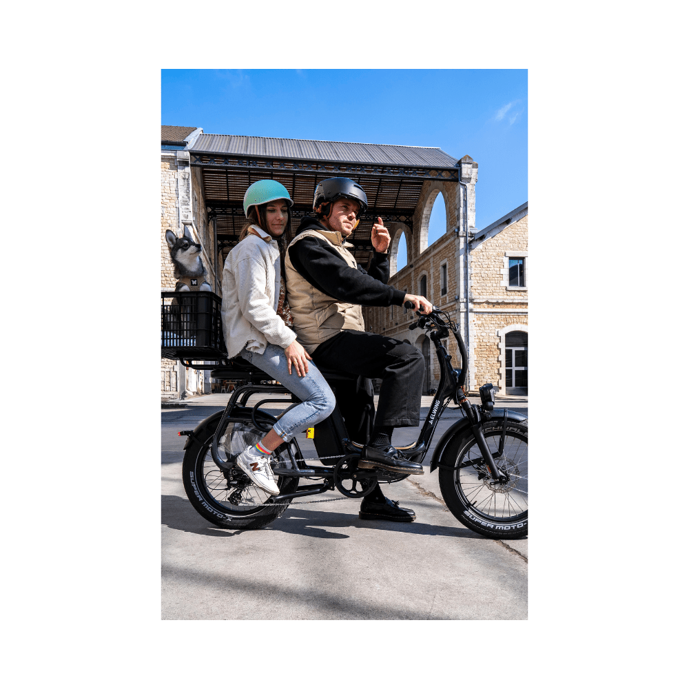 Elwing RITMIC DUO | 2-Seat Cargo