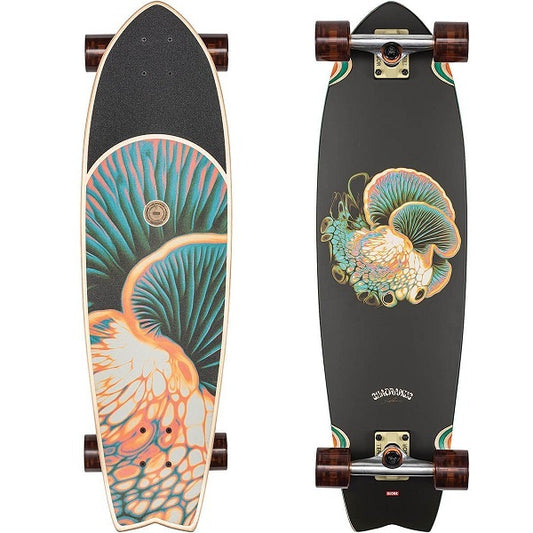 GLOBE Chromantic 33' - Bio-Morph - 10525055-BIOM - Complete cruiser