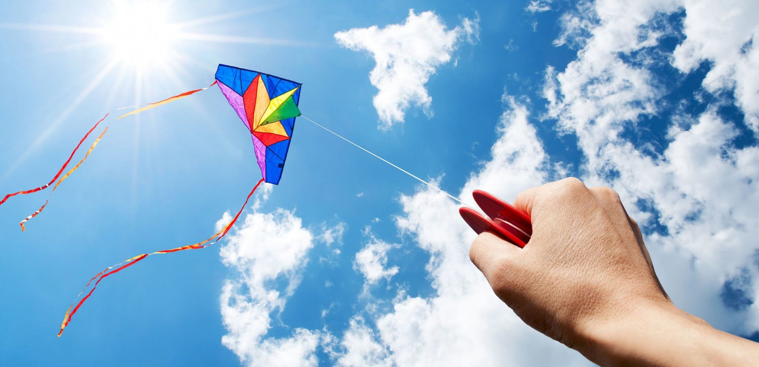 Billykite > Land Kites > Acrobatic