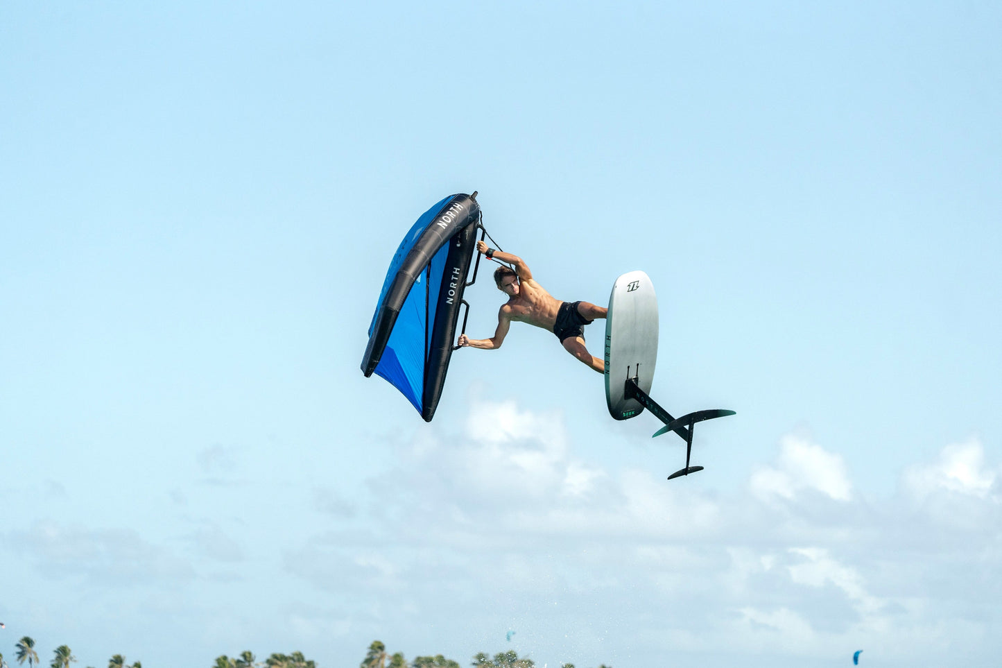 North Wing Handle Carbon