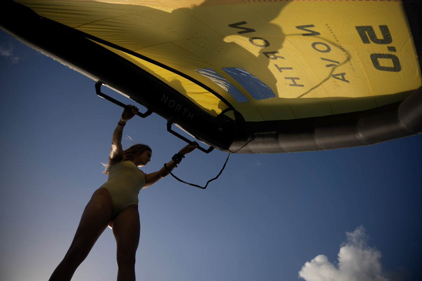 North Wing Handle Carbon