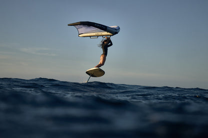 North ShiftLock Handle - Carbon