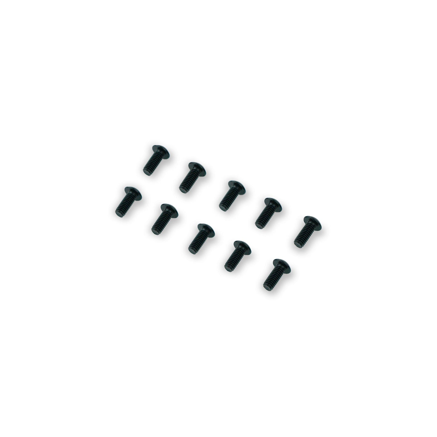 Spare Motor Plug Bolts M4x10