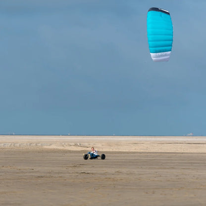 Peterlynn HORNET Complete | 4 lines