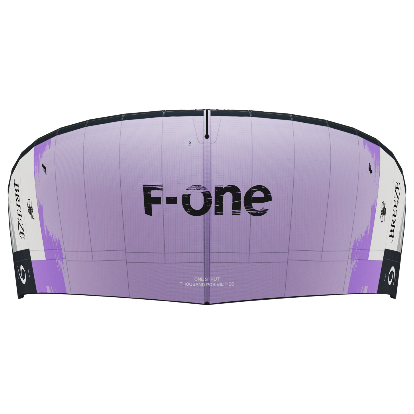 F-One BREEZE 6 TEC Kite - Kites