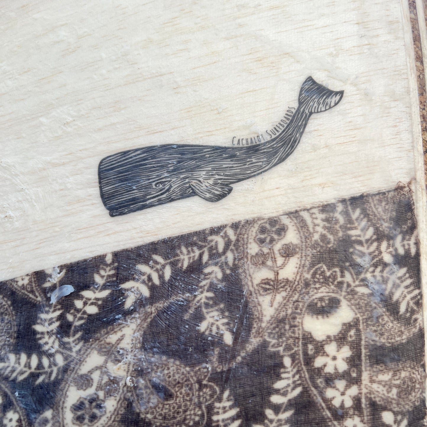 Cachalot Surfboard – Handcrafted | USED / GRADE A