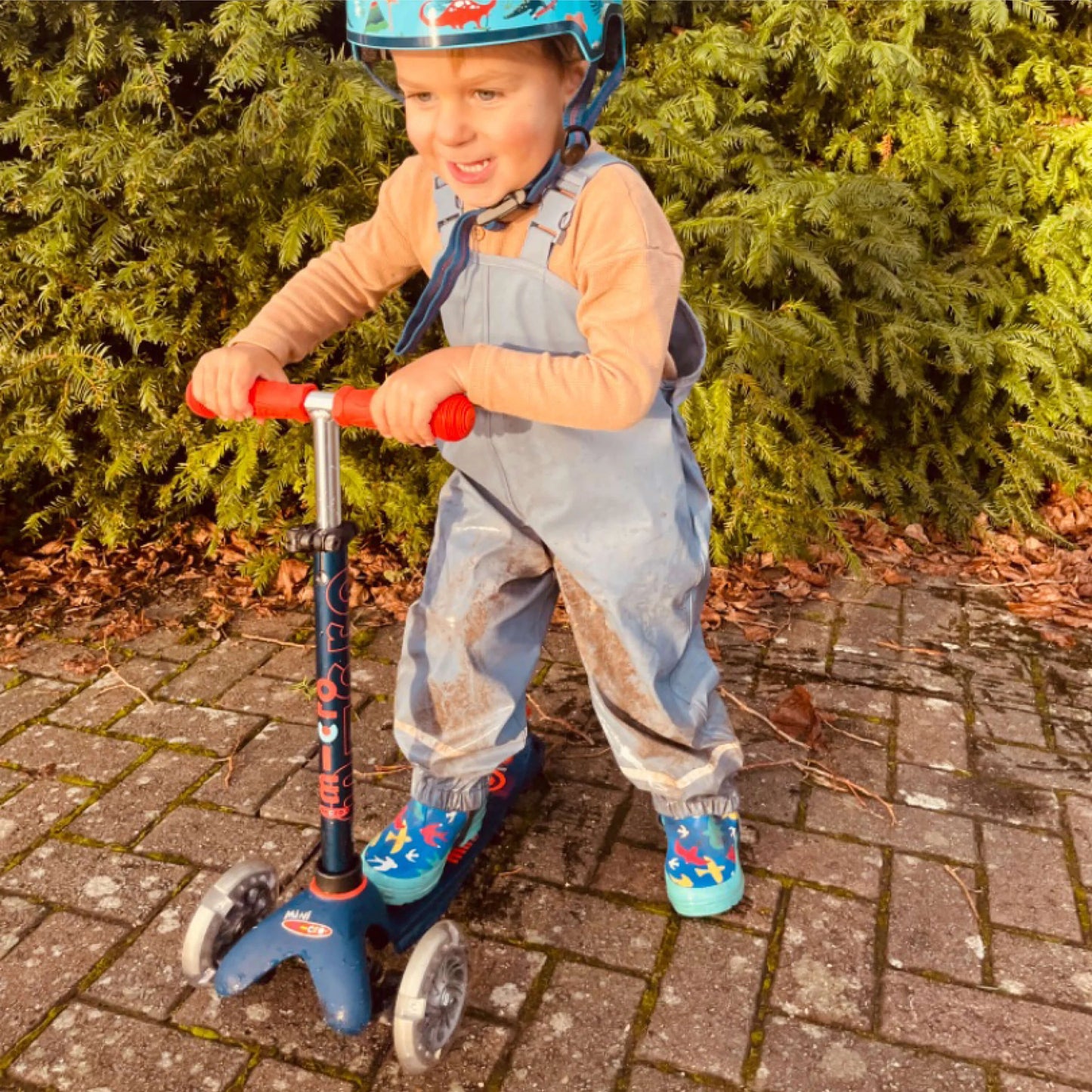 Micro MINI MICRO Deluxe LED