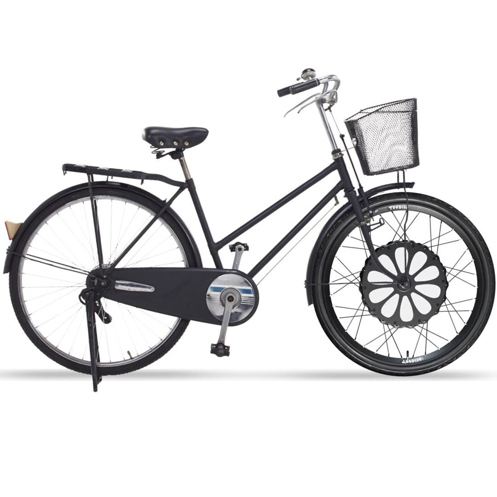 Roue électrique Teebike 250w