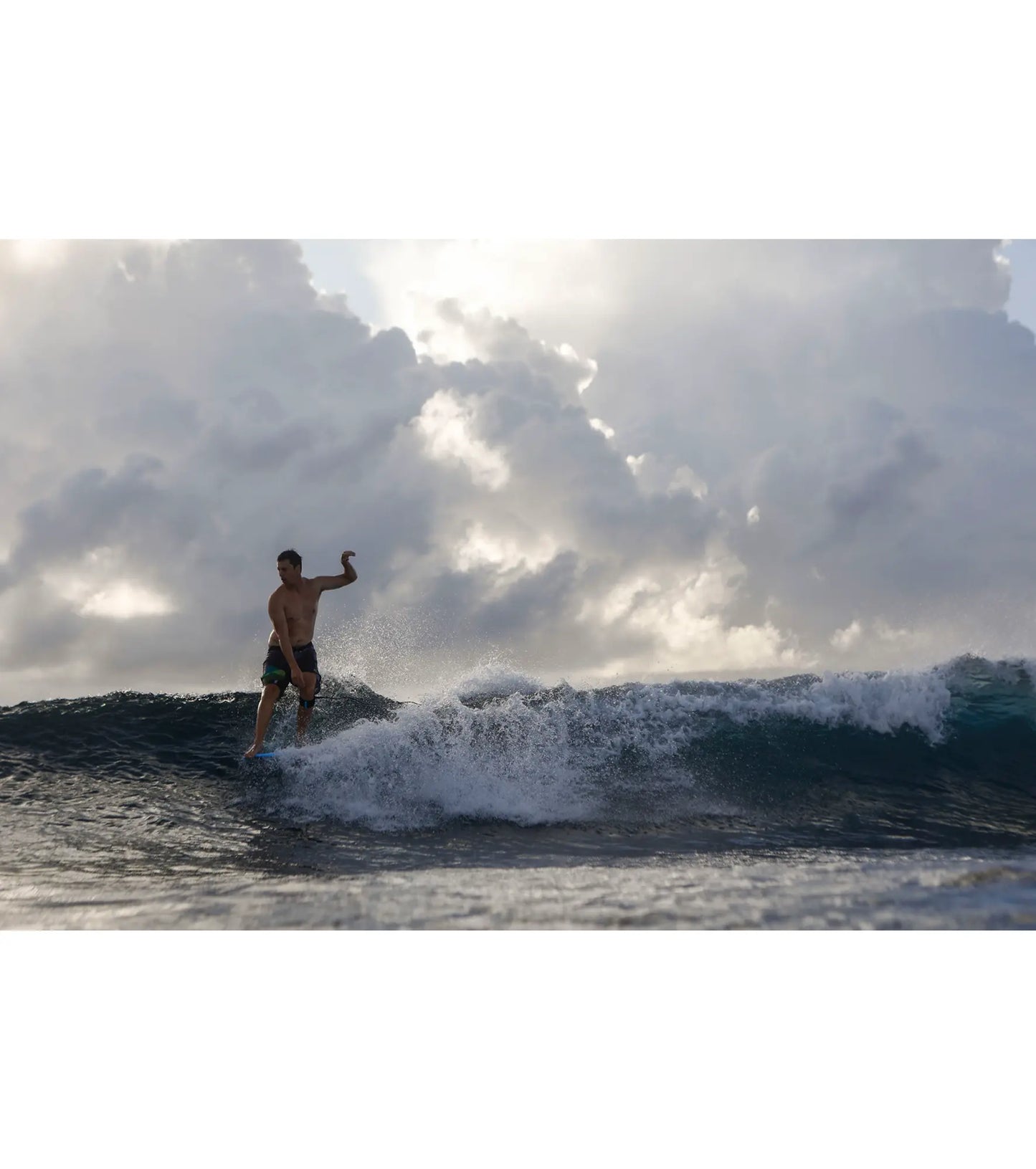 Torq The Don HP ACT - Futures - 4 + 1 Fin