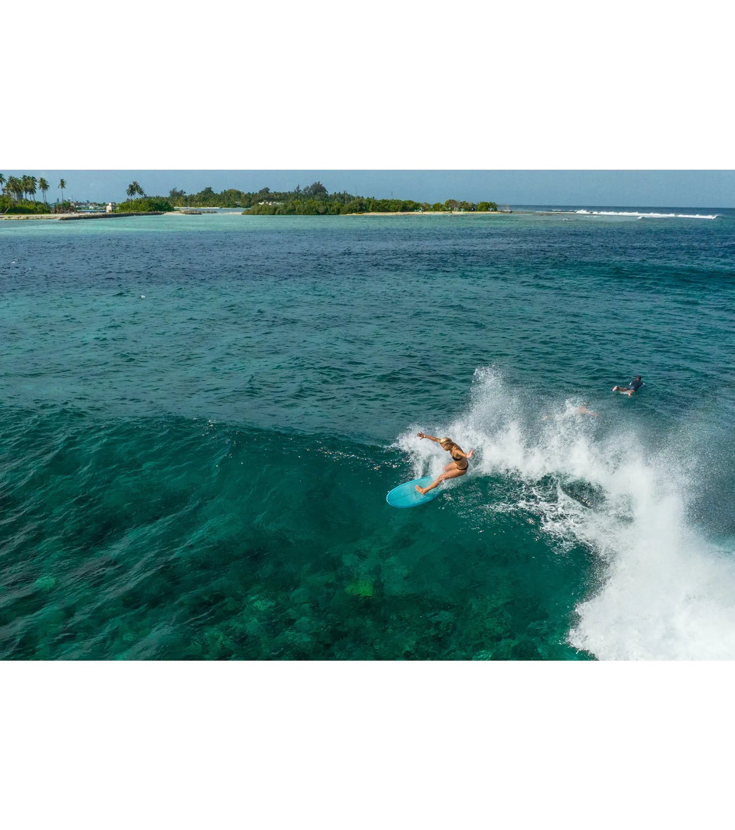 Torq Mod Fish TET - Futures - 5 Fin