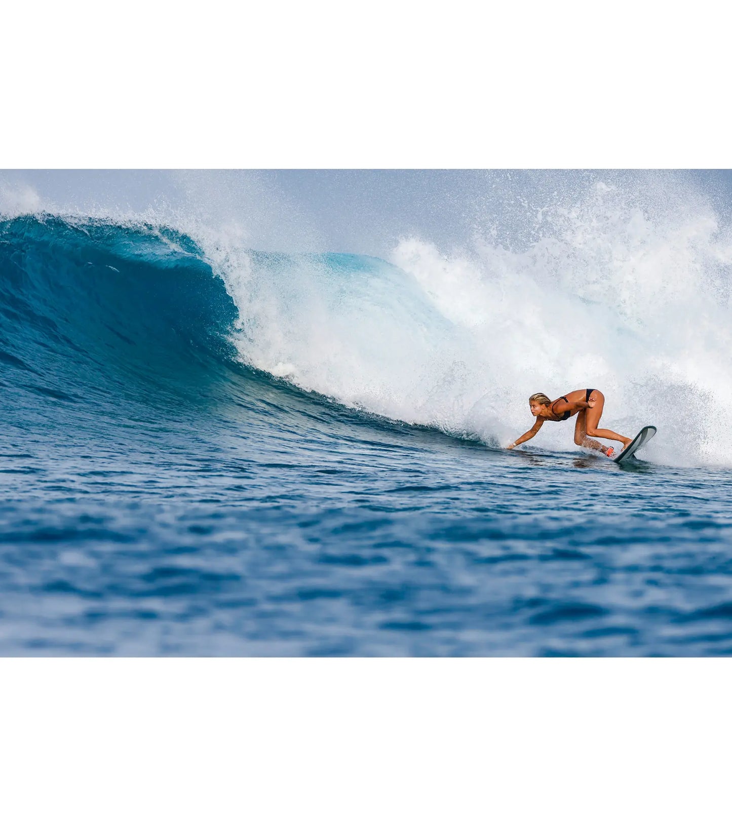 Torq Mod Fish TET - Futures - 5 Fin