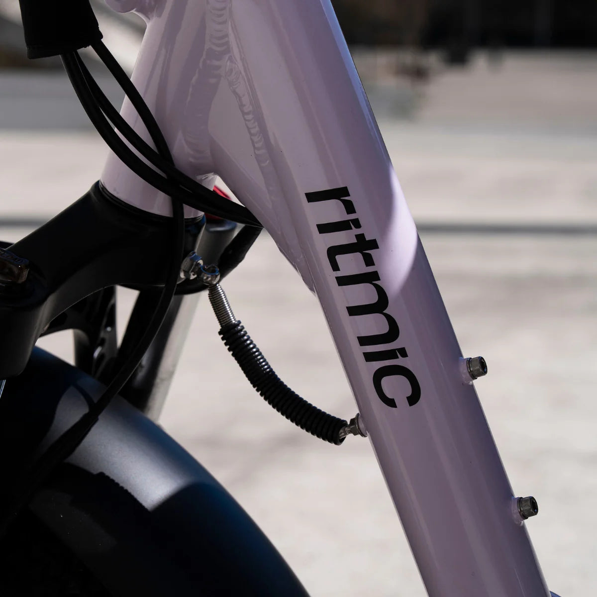 Ritmic YUVY III 2-Seat Cargo