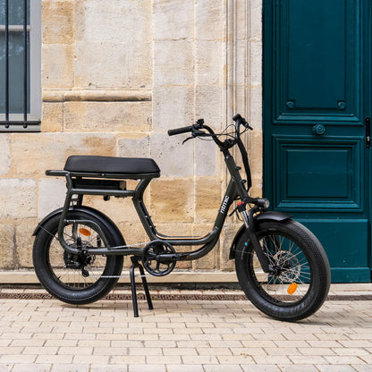 Ritmic YUVY III 2-Seat Cargo