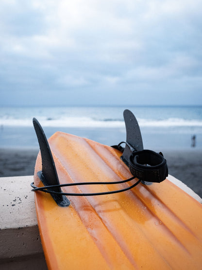 Devoted Core Series Pro Leash