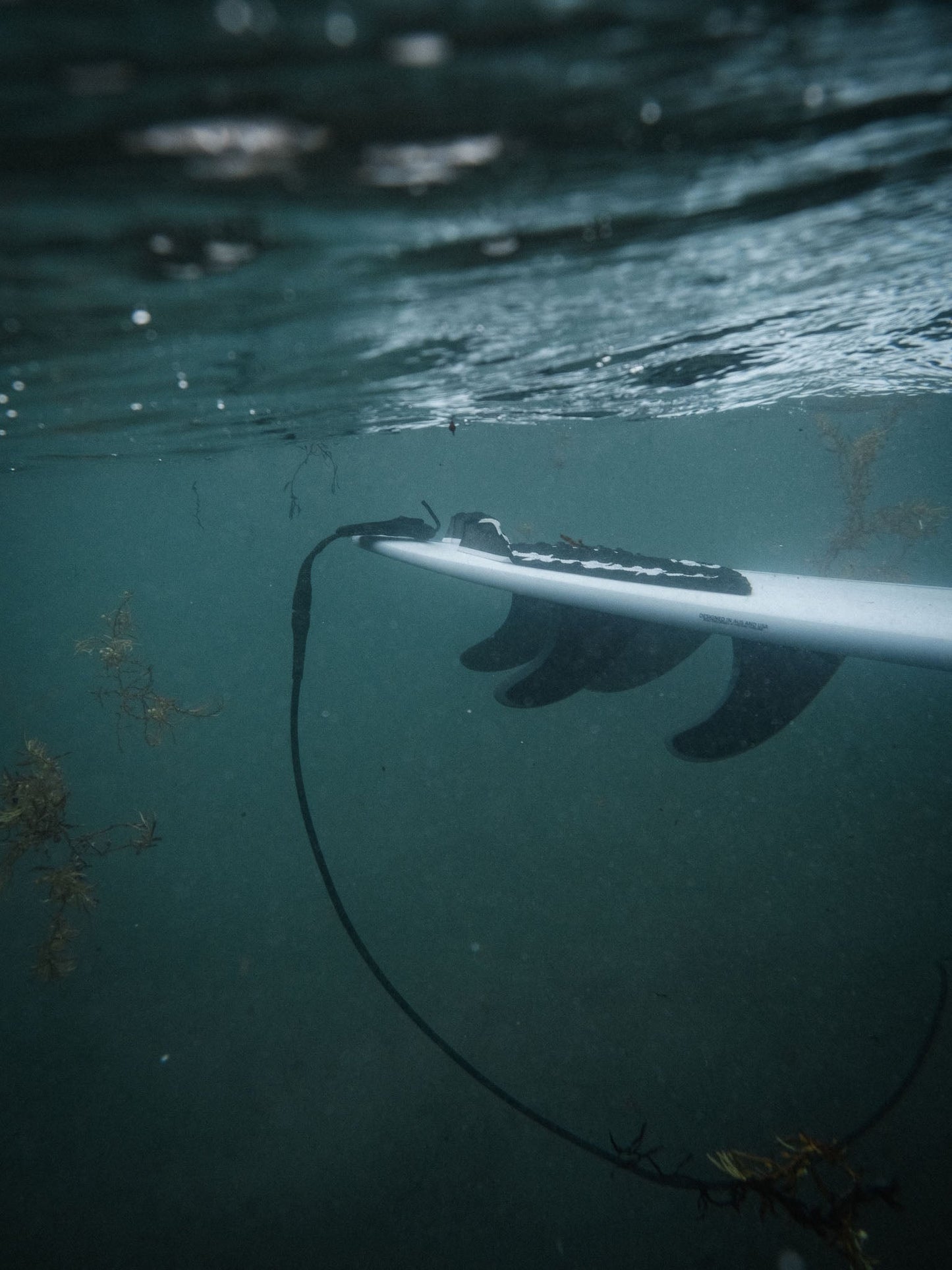 Devoted Core Series Pro Leash