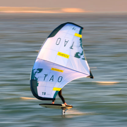 Flysurfer TAO WING