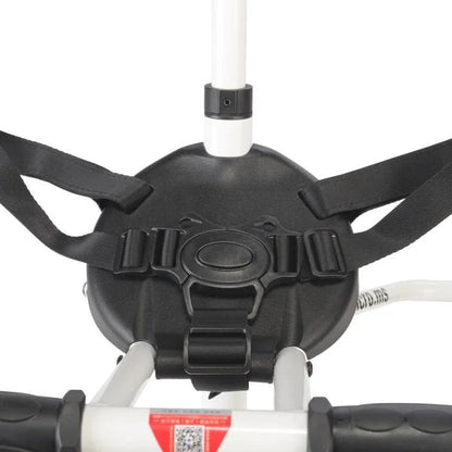 Micro Trike safety belt