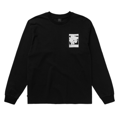 Mystic Heartsease L/S Tee | 26