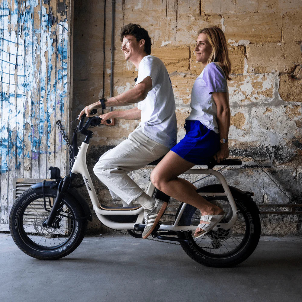 Elwing RITMIC Passenger Footrests