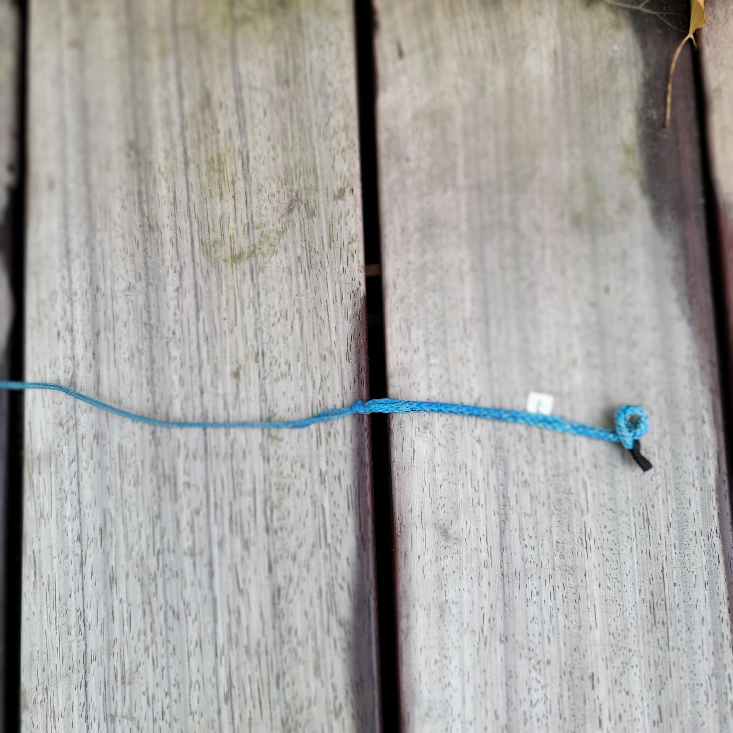 Ozone EDGE 9m VT Kite Only w/bag | USED / GRADE B