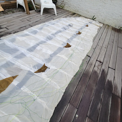 Flysurfer SPEED 3 21m DELUXE EDITION Kite w/Control Bar | USED / GRADE B