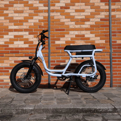 Ritmic YUVY III 2-Seat Cargo