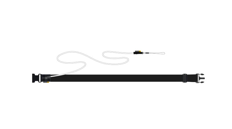 Core Wingfoil Waistbelt Leash